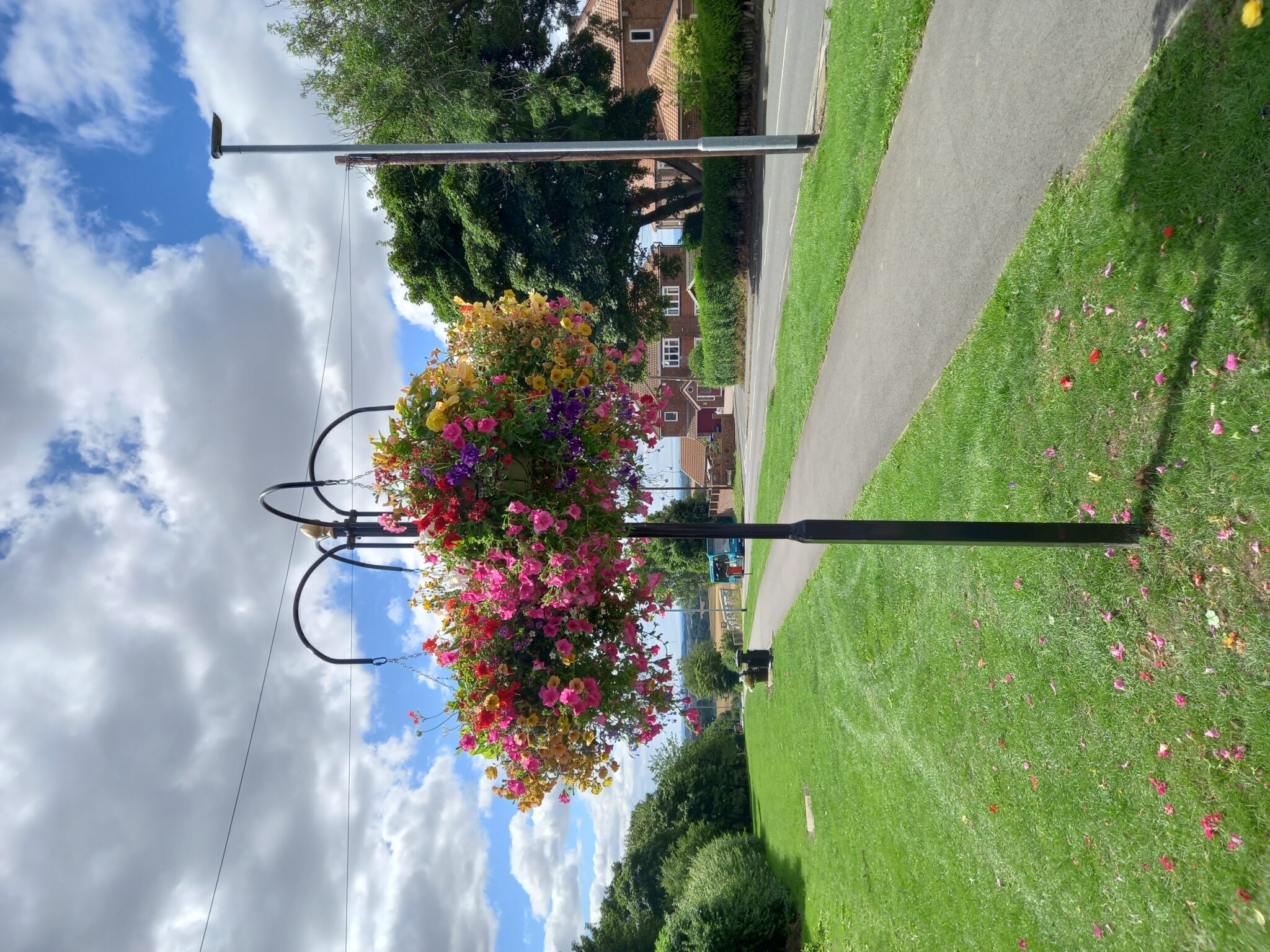 New basket trees around the villages Trimdon Parish Council